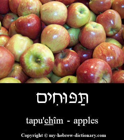 Apples in Hebrew