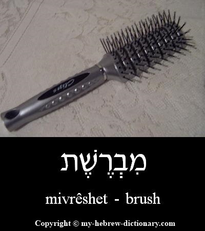 Brush in Hebrew