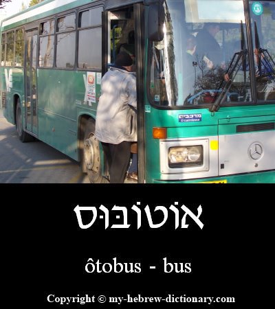 Bus in Hebrew