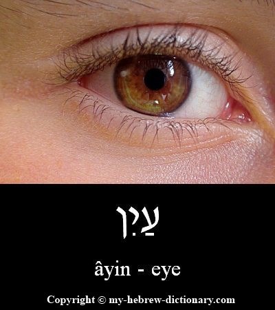 Eye in Hebrew