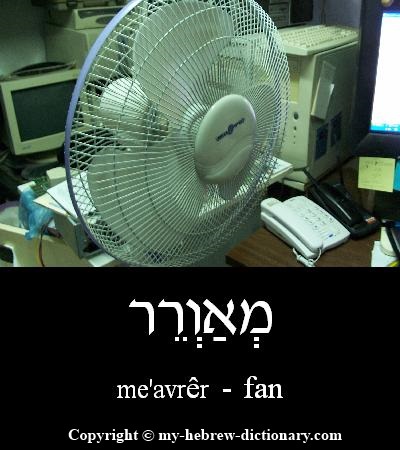Fan in Hebrew