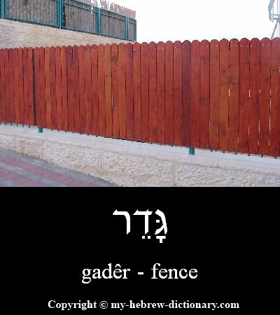 Fence in Hebrew