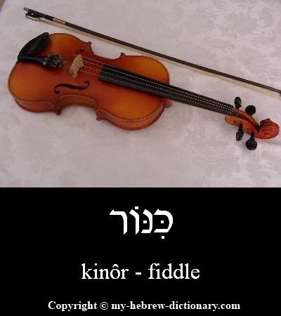 Fiddle in Hebrew