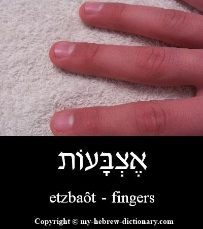 Fingers in Hebrew