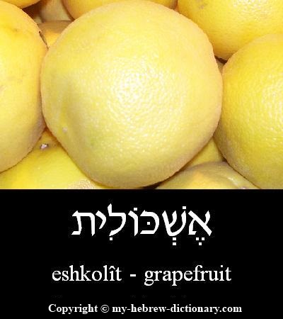 Grapefruit in Hebrew
