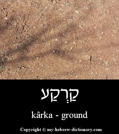 Ground in Hebrew