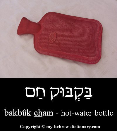 Hot-water Bottle in Hebrew
