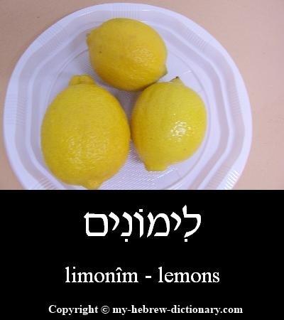Lemons in Hebrew