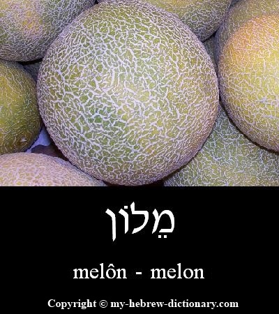 Melon in Hebrew