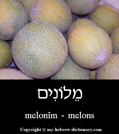 Melons in Hebrew