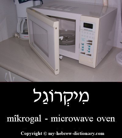 Microwave Oven in Hebrew