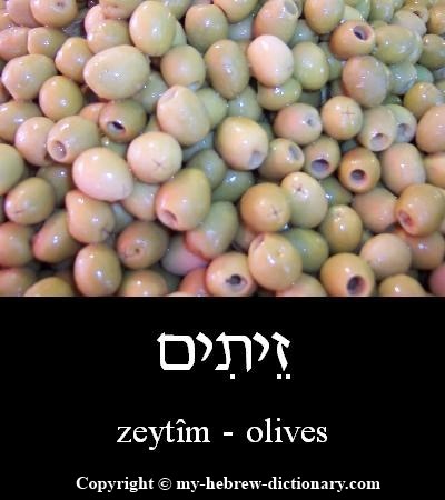 Olives in Hebrew