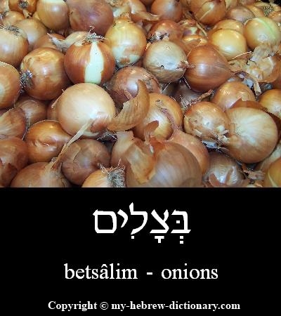 Onions in Hebrew