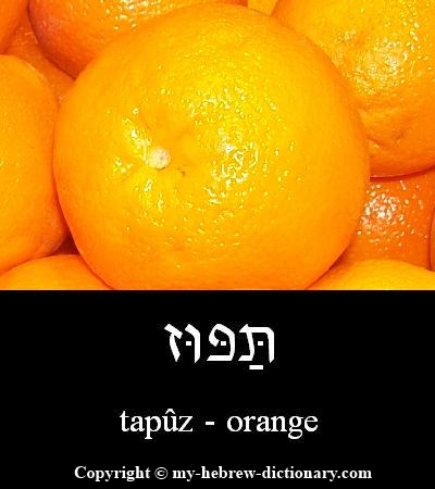 Orange in Hebrew