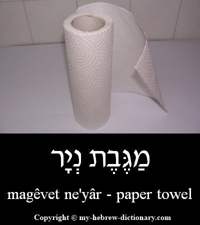Paper Towel in Hebrew