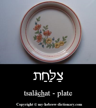 Plate in Hebrew