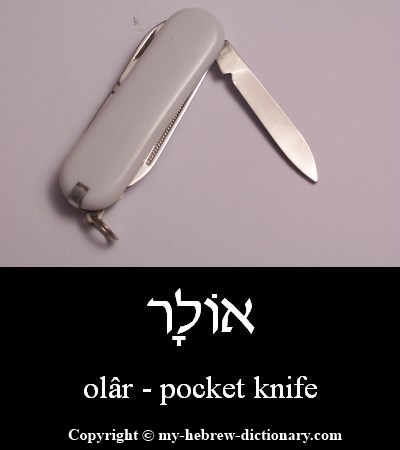 Pocket Knife in Hebrew