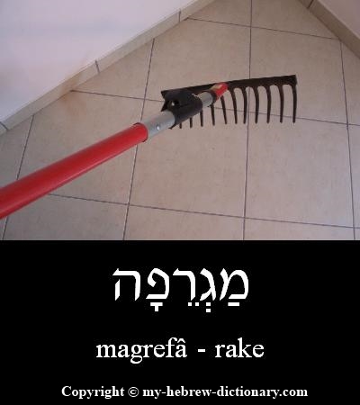 Rake in Hebrew