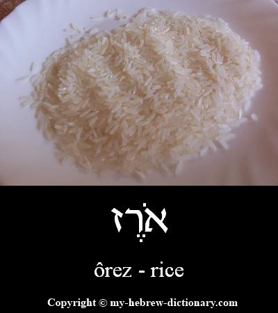 Rice in Hebrew