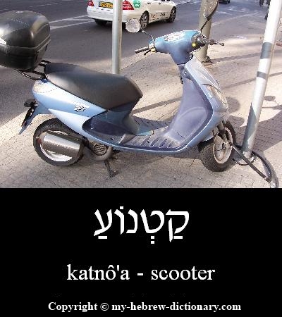 Scooter in Hebrew
