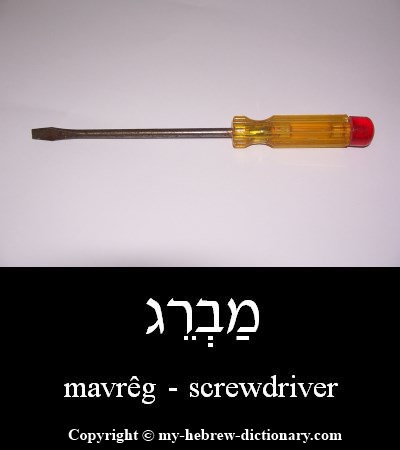 Screwdriver in Hebrew