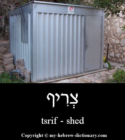 Shed in Hebrew