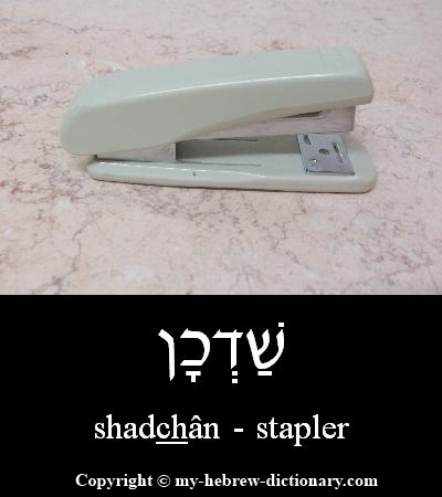 Stapler in Hebrew