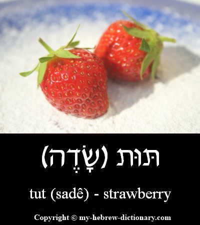 Strawberry in Hebrew