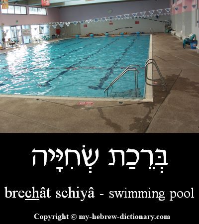 Swimming Pool in Hebrew