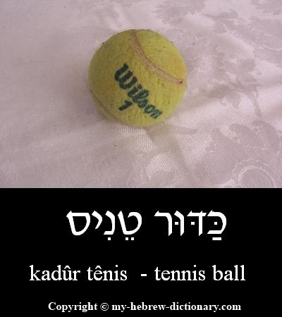 Tennis Ball in Hebrew