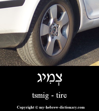 Tire in Hebrew