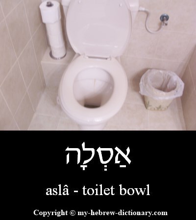 Toilet Bowl in Hebrew