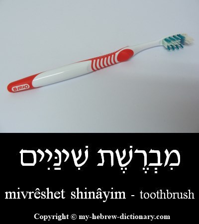 Toothbrush in Hebrew