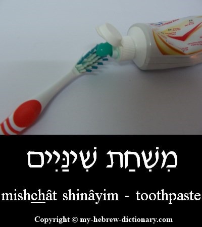 Toothpaste in Hebrew