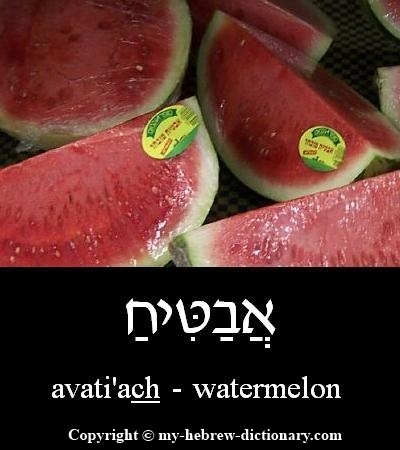 Watermelon in Hebrew