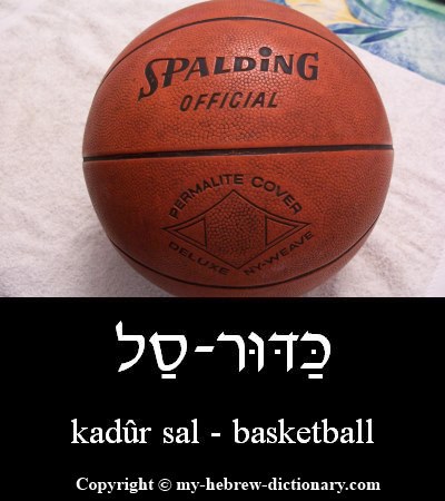Basketball in Hebrew
