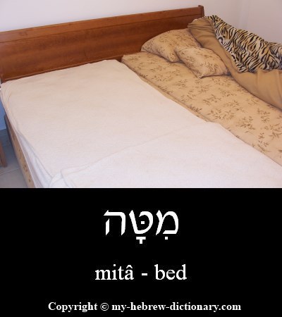 Bed in Hebrew