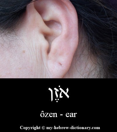 Ear in Hebrew