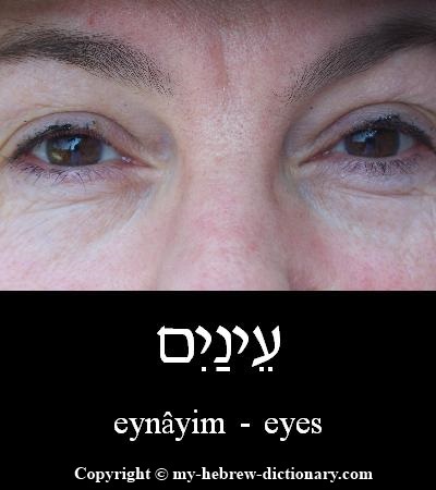 Eyes in Hebrew