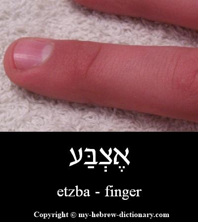 Finger in Hebrew