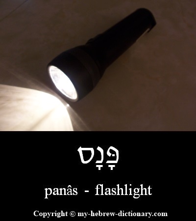 Flashlight in Hebrew