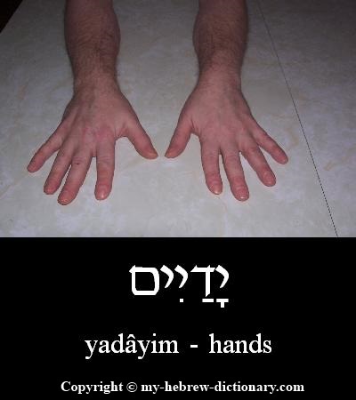 Hands in Hebrew