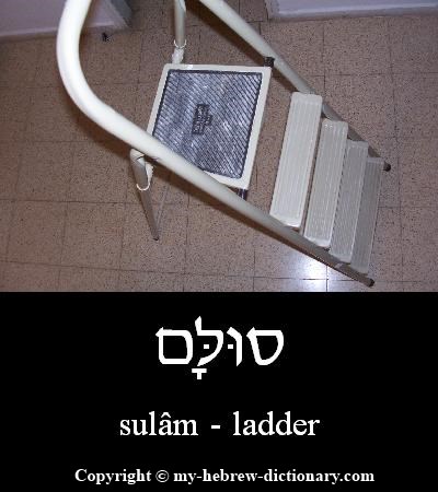 Ladder in Hebrew