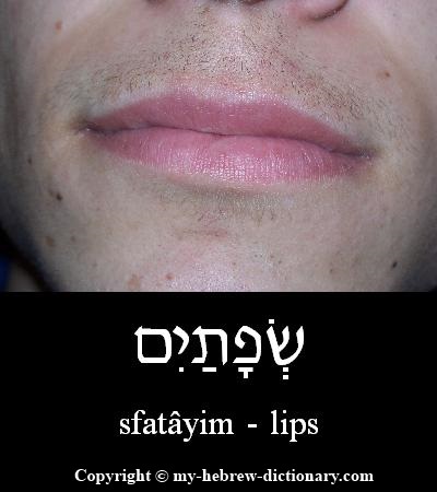 Lips in Hebrew