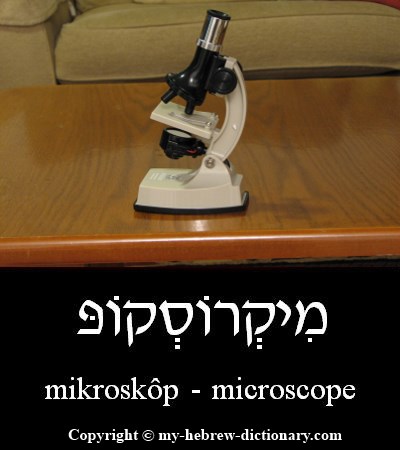 Microscope in Hebrew