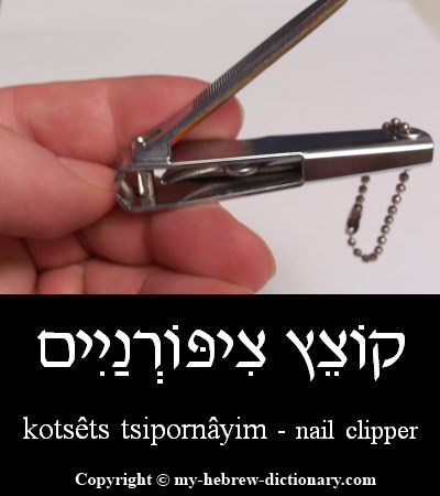 Nail Clipper in Hebrew