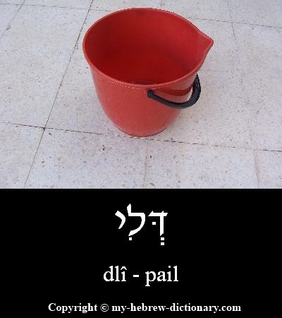Pail in Hebrew