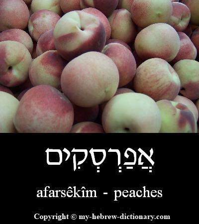 Peaches in Hebrew