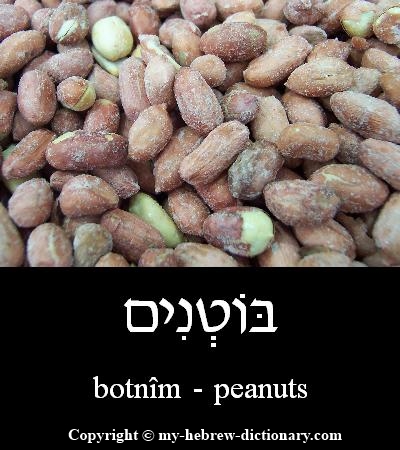 Peanuts in Hebrew