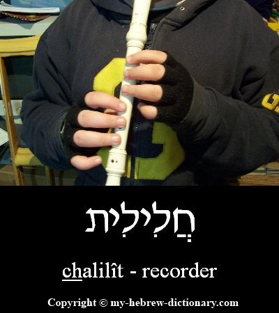 Recorder in Hebrew